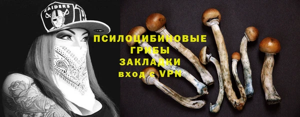 соль курить ск Горняк