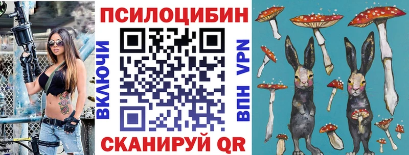 Галлюциногенные грибы MAGIC MUSHROOMS Суворов