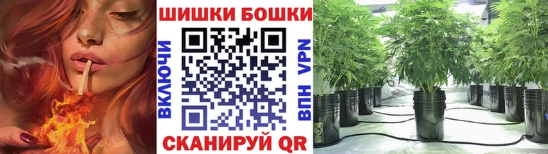 Канабис семена  наркошоп  Суворов 